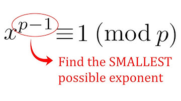 What is the Order of x mod p? - Definition and Properties