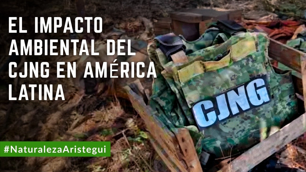 Huachicol y narcolaboratorios: Mongabay LATAM expone costo ambiental de la diversificación del CJNG
