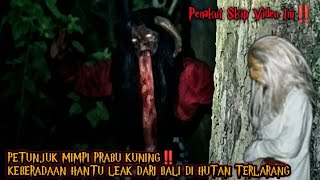 Live Misteri‼️Cari Keberadaan Hantu Leak Dari Bali Di Hutan Terlarang, Petunjuk Mimpi Prabu Kuning