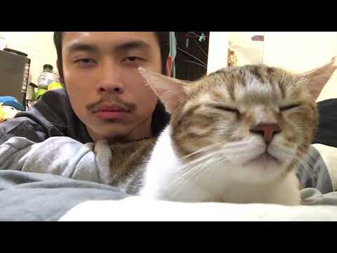 Cat and Owner Vibe Out to Music | Hotline Bling