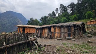 Nepal Mountain Village Life | Shepherd's Life in Nepal | Daily Activities of Nepali Villagers