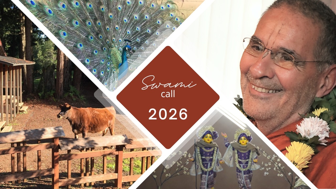 Swami B. V. Tripurari Live Q&A; February 22, 2026: Varnasrama and Bhakti