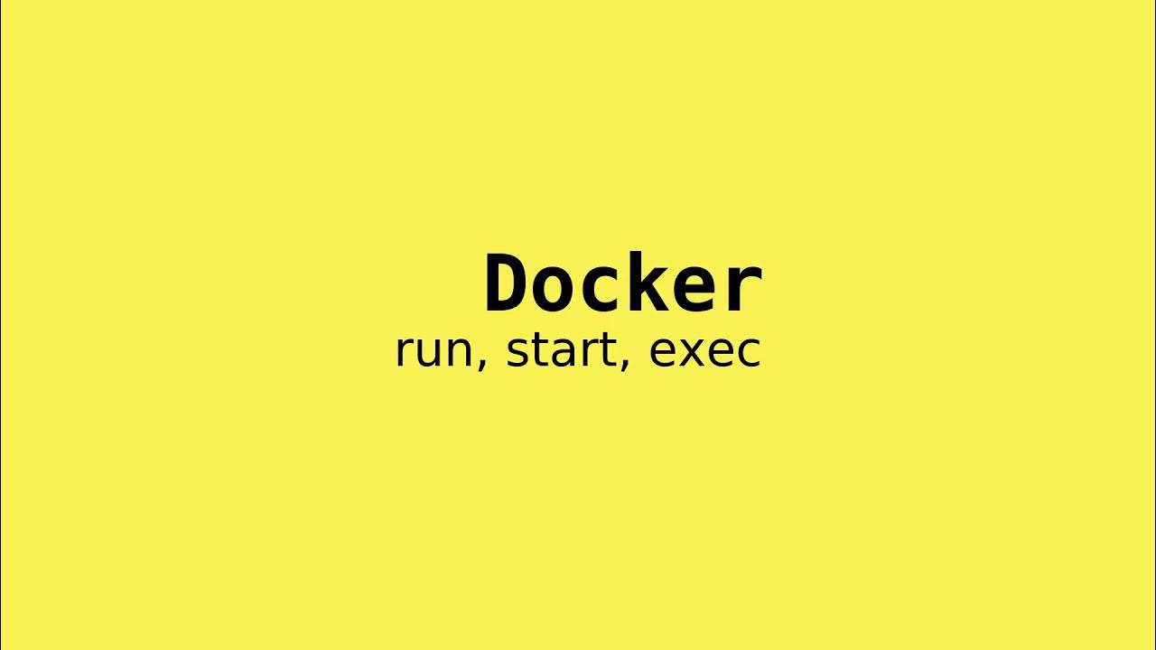 Docker run. Docker run