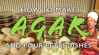 How to Make Agar Media and Pour Petri Dishes for Mushroom Cultivation