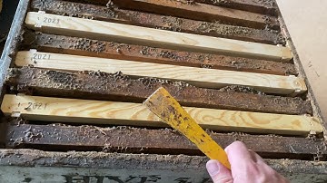 How to Checkerboard your frames