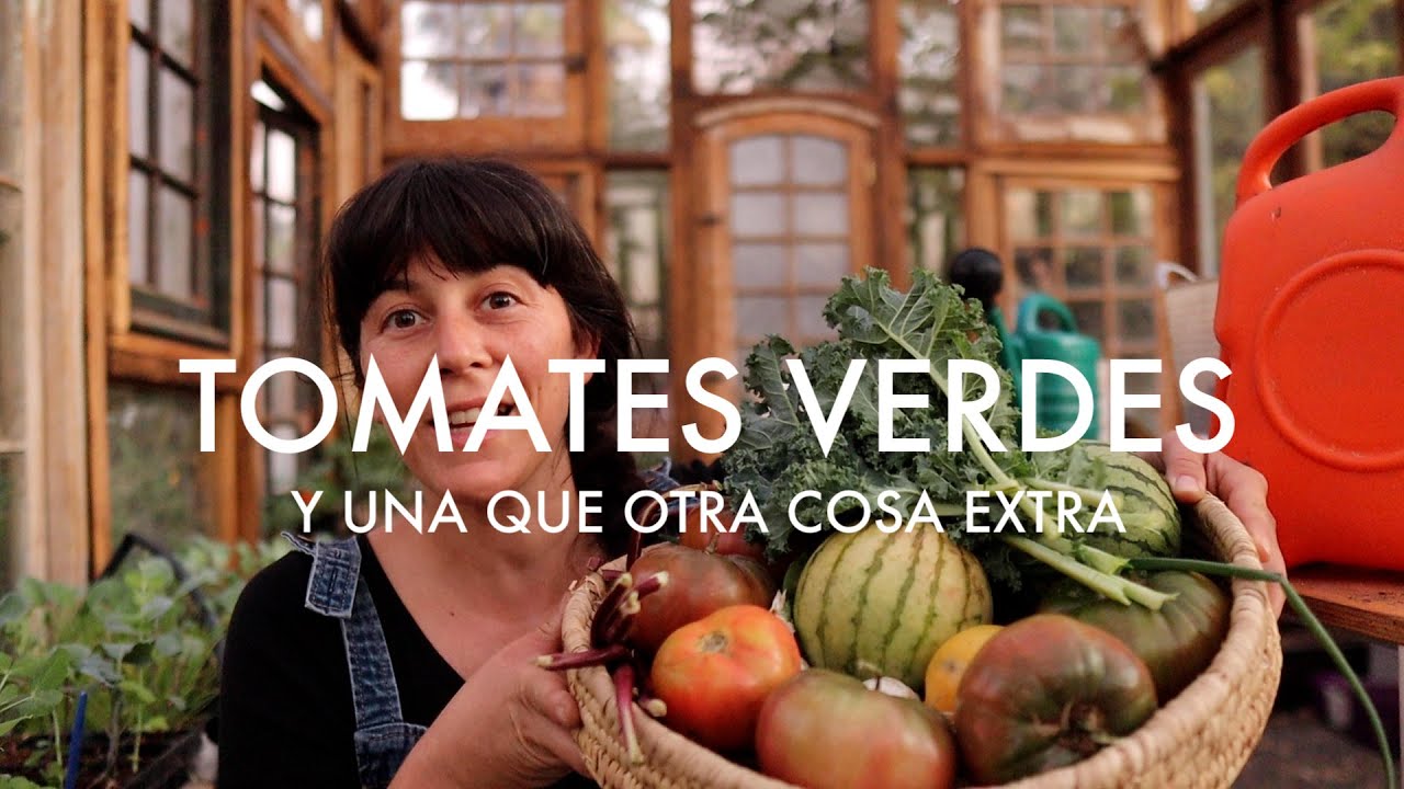 Qué hacer con los Tomates verdes? | Y una que otra cosita más VLOG