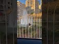 #photography #explore #fountain