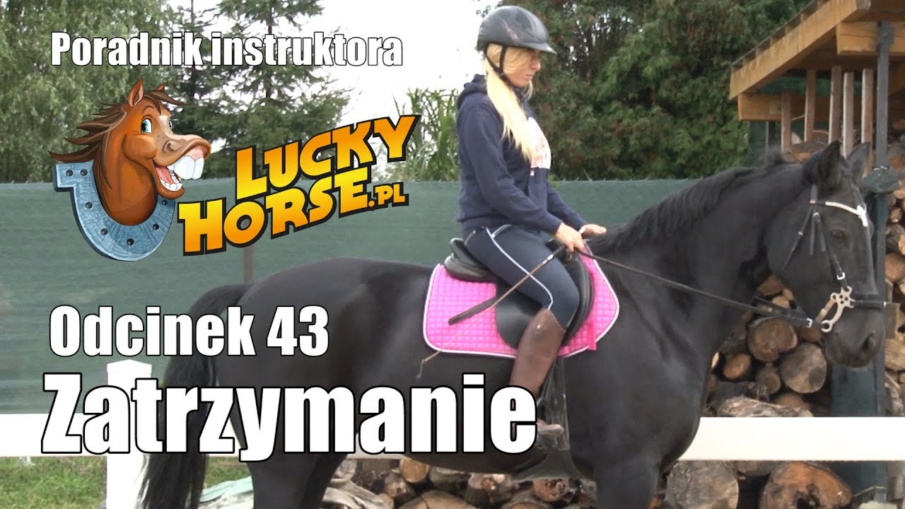 Porady LuckyHorse pl - Odc43 - Zatrzymanie konia