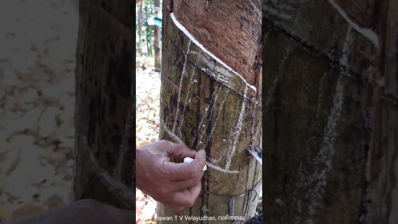 Overcome Brown Bast - പട്ടമരവിപ്പിനെ മറികടക്കാൻ ഒരു വഴി