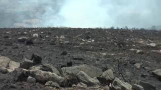 O lume arrasa arredor de 100 hectáreas na Serra do Faro