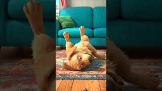 WHO IS HE FIGHTING?”#FunnyDog #CartoonShorts #DogVideo #ViralShorts #FunnyAnimals #YouTubeShorts #C