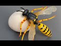 RAW EGG PEELING - Moha melo