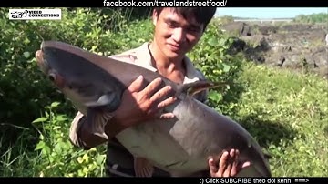 bắt cá khủng ở hồ thủy điện Trị An