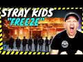 STRAY KIDS &quot; Freeze &quot; This Video Is So IMPACTFUL! [ Reaction ]