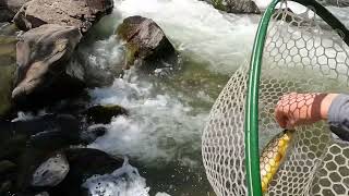 Details Clear Creek Canyon Fly Fishing. Golden, CO.. May 1st 2022. Guide