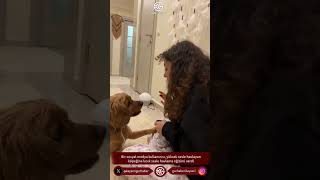 Yüksek Sesle Havlayan Köpeğine Kısık Sesle Havlama Eğitimi Verdi Resimi