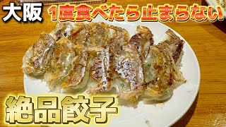 餃子好き必見！食べたら止まらない名物餃子