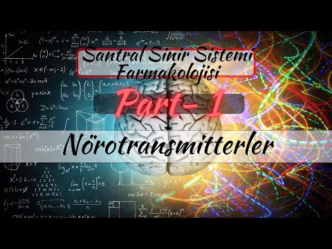 Nörotransmitterler- Santral Sinir