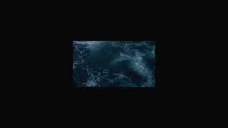 maffalda - sorry, something went wrong (were working on getting this fixed as soon as possible)