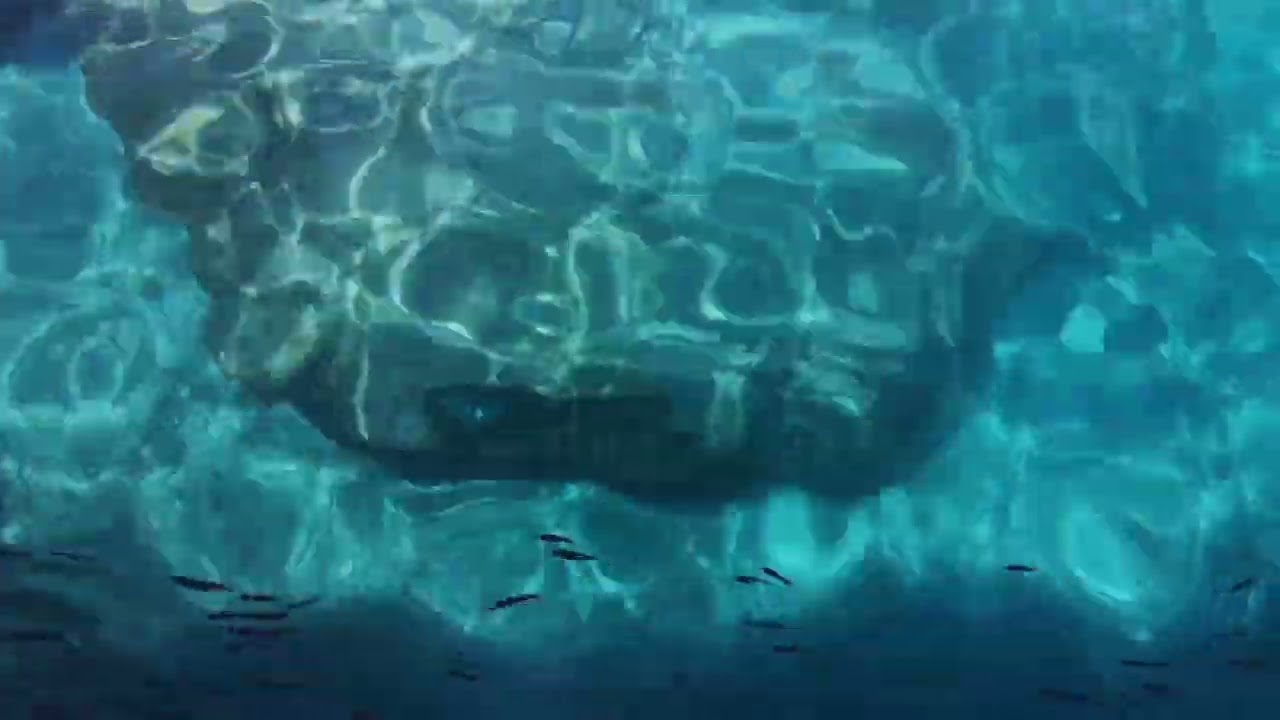 UNDERWATER AMBIENCE for CALMING RELAXATION SOOTHING | HELPS in SETTING