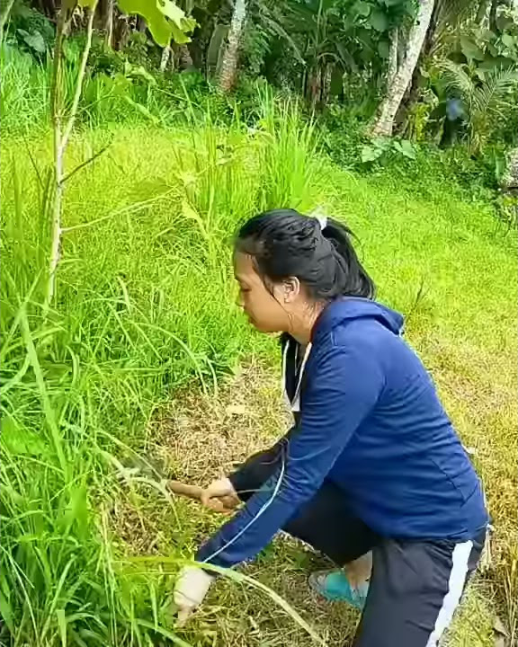 cewek cantik pandai ngarit