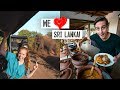 Tour of Our LUXURY Jungle Hotel! + Our First Elephant Safari 🐘🇱🇰 (Udawalawe, Sri Lanka)