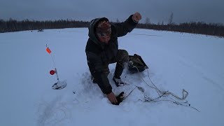 видео: ЖЕРЛИЦЫ НА ОЗЕРЕ БЕЗ ПРИСМОТРА 48 ЧАСОВ, ЕДУ ПРОВЕРЯТЬ! С НОВЫМ ГОДОМ БРАТЬЯ РЫБАКИ И СЁСТРЫ РЫБАЧКИ картинка: ЖЕРЛИЦЫ НА ОЗЕРЕ БЕЗ ПРИСМОТРА 48 ЧАСОВ, ЕДУ ПРОВЕРЯТЬ! С НОВЫМ ГОДОМ БРАТЬЯ РЫБАКИ И СЁСТРЫ РЫБАЧКИ