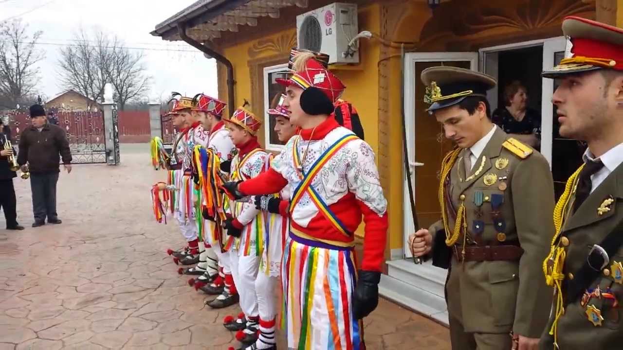 Arnauti Timisesti dec 2013