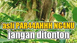 Bringa4Ss Kale Ng4Nu Suku Mante Asli