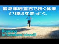 緊急事態宣言で人の居なくなった竹富島。もう走るしかない (  ;∀;)  第295話  当店も開店休業状態です。。。