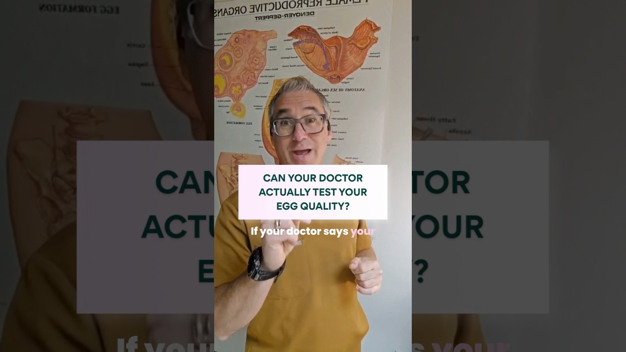 Been told you have “poor egg quality”? Ask: based on what?