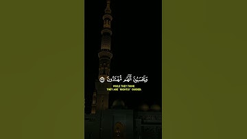 تلاوة تفتح لك أبواب الراحة النفسية – من القرآن الكريم القارئ ياسر الدوسري #تلاوة_خاشعة #القران