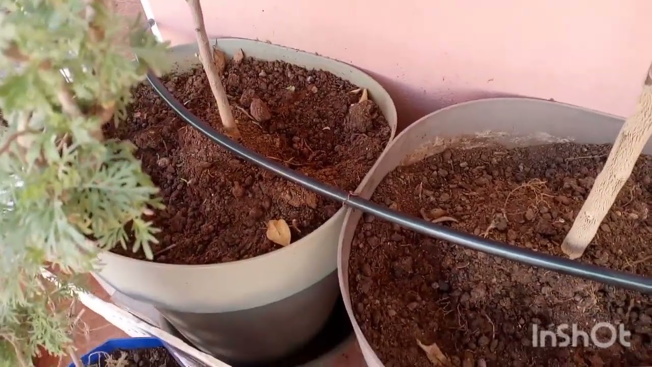 شرح طريقة تصميم شبكة السقي بالتنقيط على السطح.