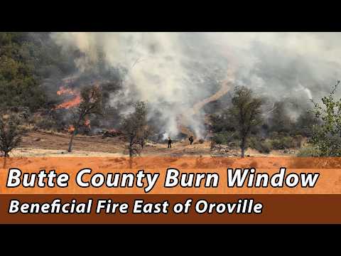 Beneficial Fire East of Oroville