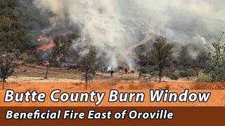 Beneficial Fire East of Oroville