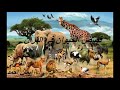 قصص الحيوان فى القران ح 4