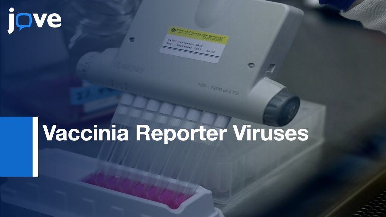 VACV for Quantification of Viral Function during Gene Expression ...