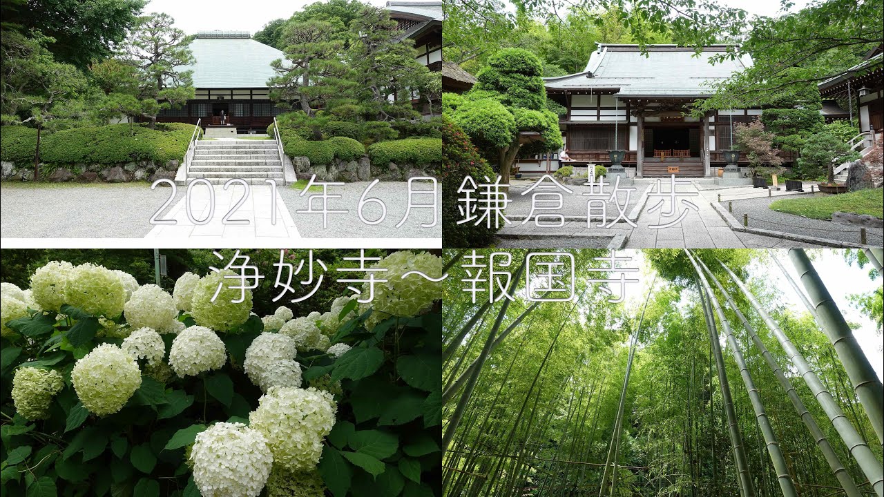 2021年鎌倉散歩 浄妙寺〜報国寺【4K】