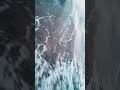 لبحررررر اسرقي و بعتي لصحاباتك لبحررررر اسرقي و بعتي لصحاباتك