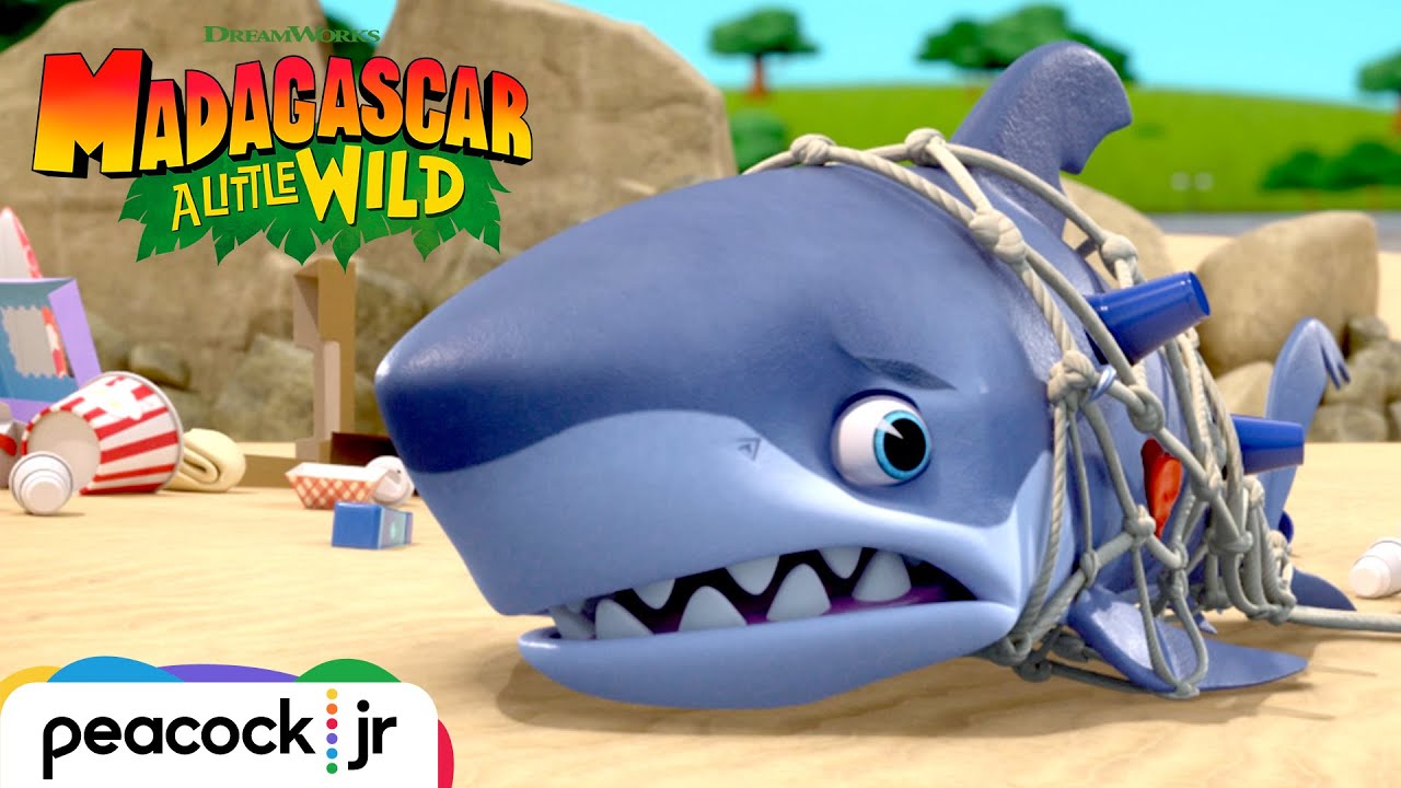 ⁣Beached Shark Rescue! | MADAGASCAR A LITTLE WILD