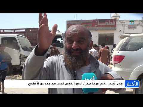 ارتفاع أسعار الأضاحي يلقي بظلاله على عيد الأضحى في المهرة