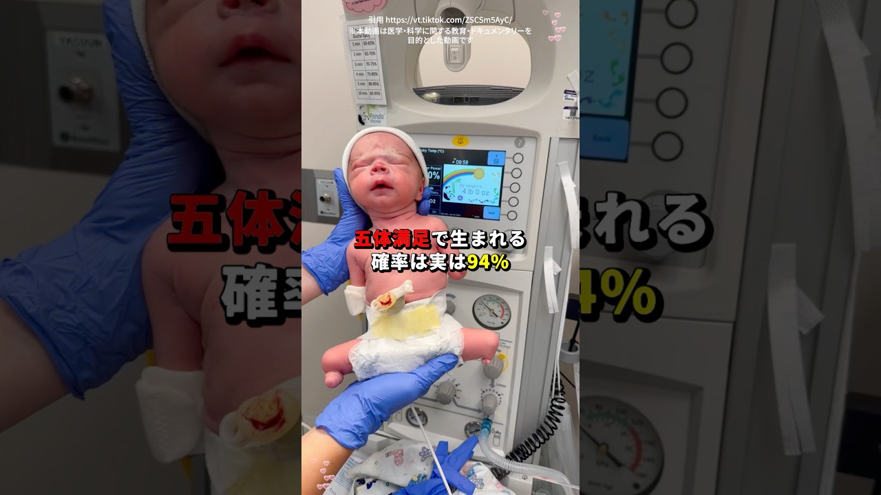 【妊娠中のアルコールがなぜダメか🆖】 #雑学 #胎児性アルコール症候群 #妊娠 #thalidomide