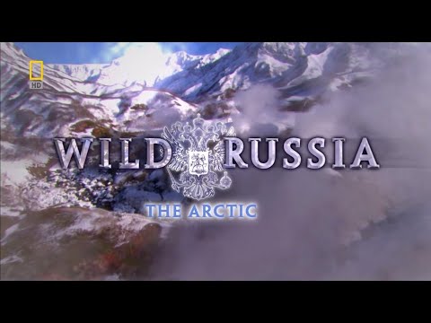 Vahşi Rusya : Kutuplar  (Belgesel)