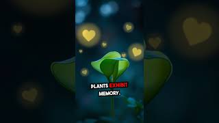 The Secret Intelligence of Plants: Nature’s Silent Masterminds Revealed!