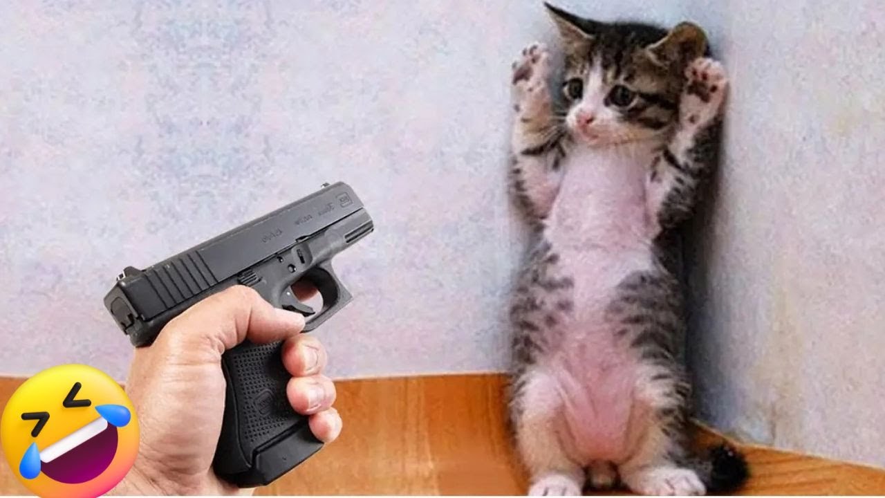 Cats and dogs funny videos 2025😺 funny talking Animals 🐈