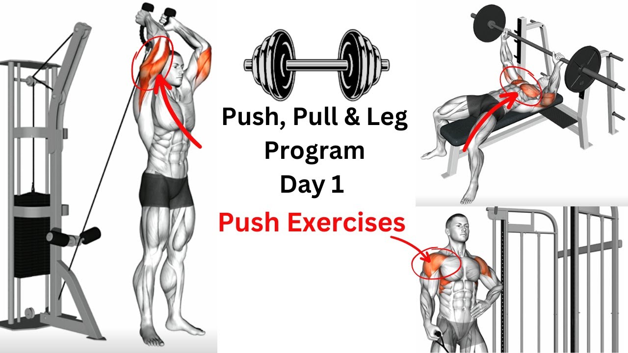 Push Exercises - Day 1/6 - Push, Pull & Leg Technique Program (6 Days ...