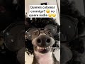 libros infantiles! #colorear #dibujo #perritos #recortables #vairal vai