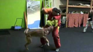 Gus Bitework