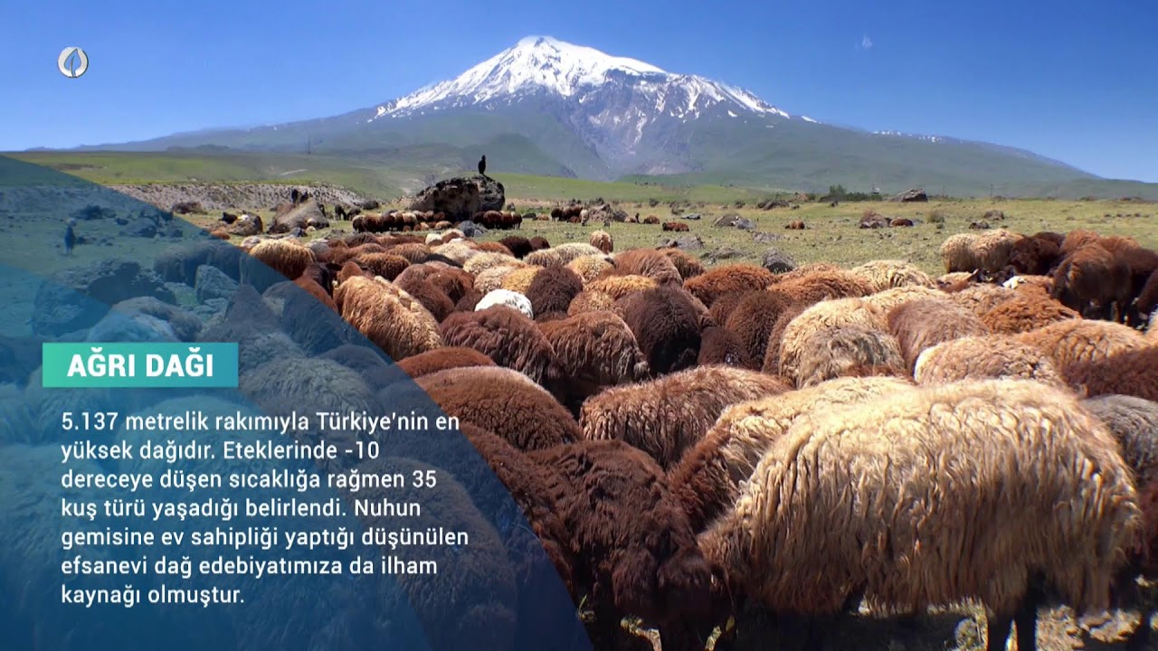 #CANLI AGRO TV İle GÜNAYDIN