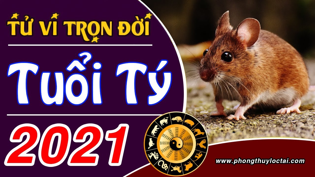 Tử vi trọn đời tuổi Tý trong năm 2021 Tân Sửu (Đầy Đủ ...